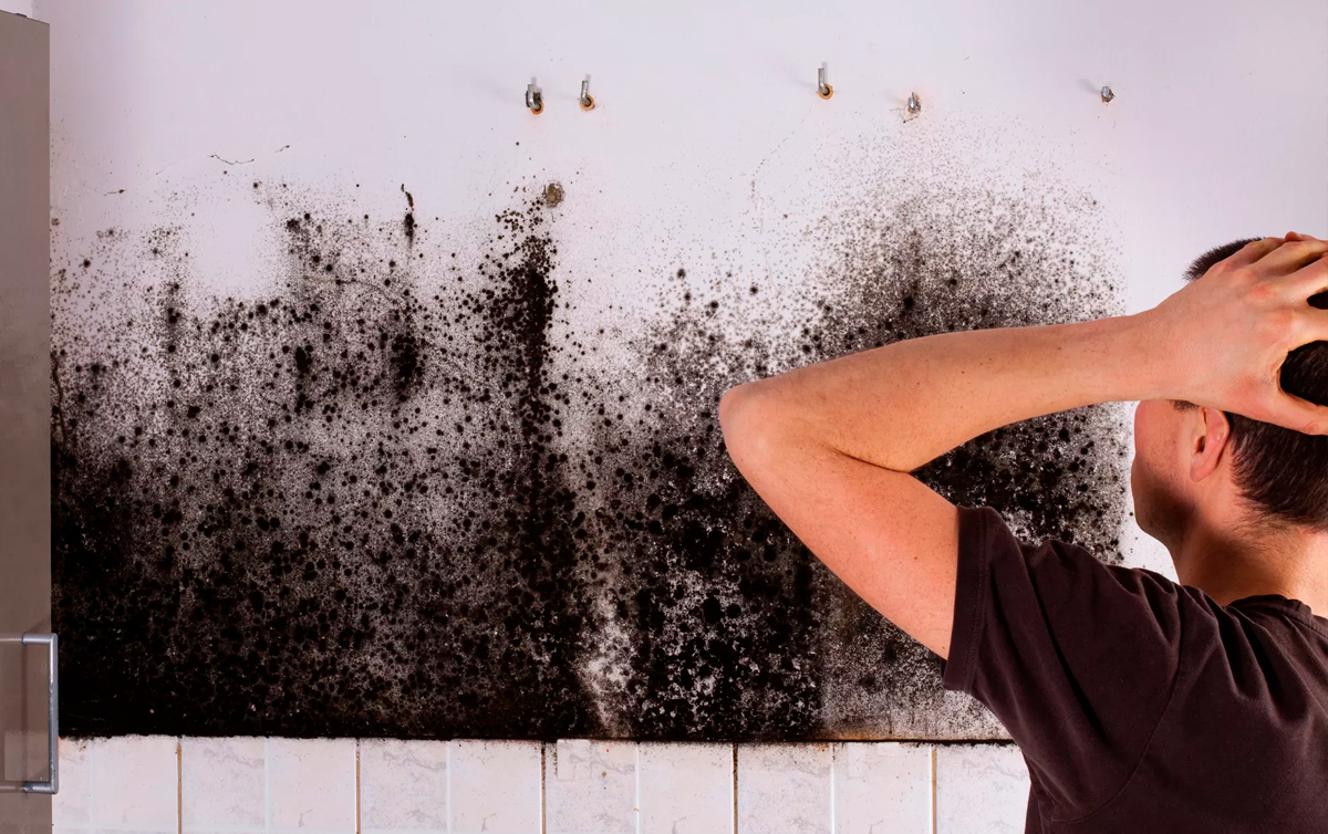 Mold Damage Claims